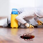 pest control