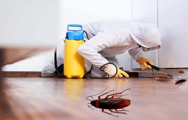 pest control