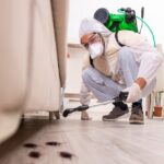 pest control companies