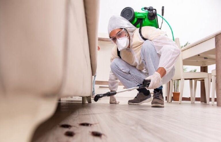 pest control companies